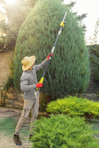 Landscape Design and Installation in Hillsboro, IL